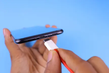 קזינו מוביל ווינס אפליקציה לנייד